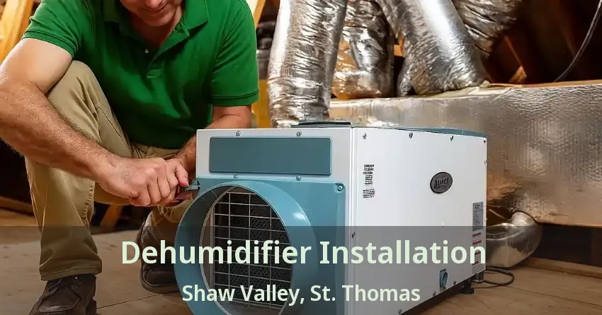Dehumidifier Installation Shaw Valley, St. Thomas - ON