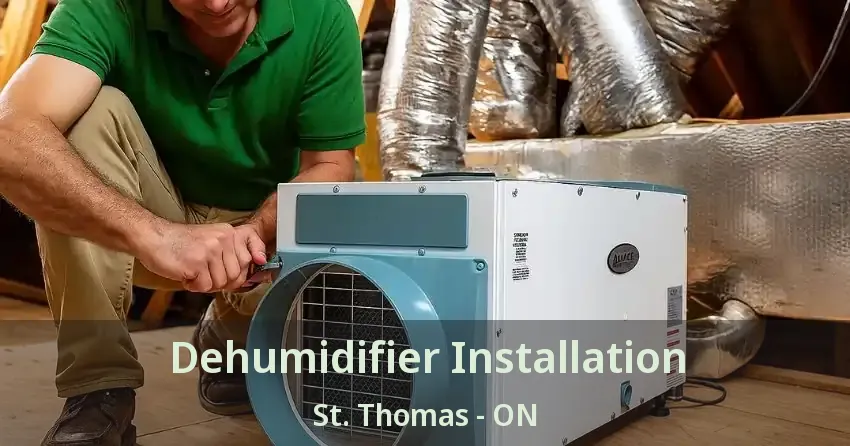 Dehumidifier Installation St. Thomas - ON