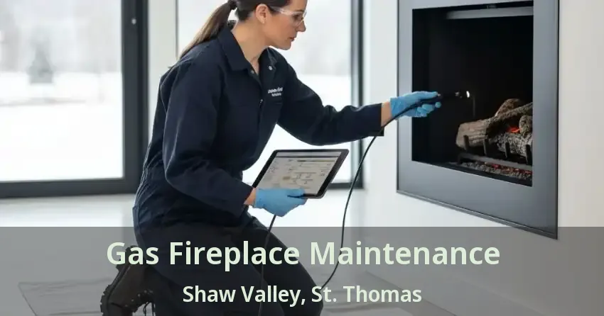 Gas Fireplace Maintenance Shaw Valley, St. Thomas - ON