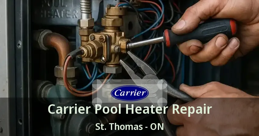 Carrier Pool Heater Repair St. Thomas - ON